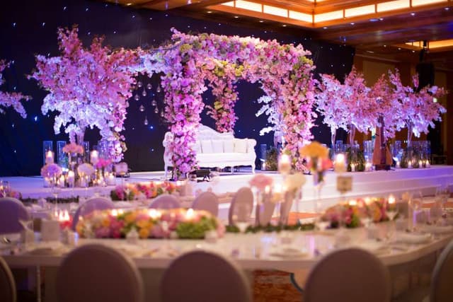 The Ritz-Carlton +1 more