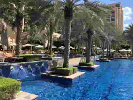 Palm Courtyard