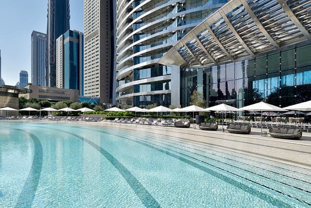 The Pool Deck