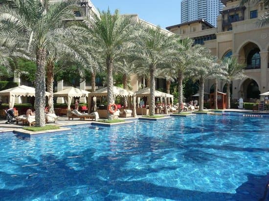 The Pool Area