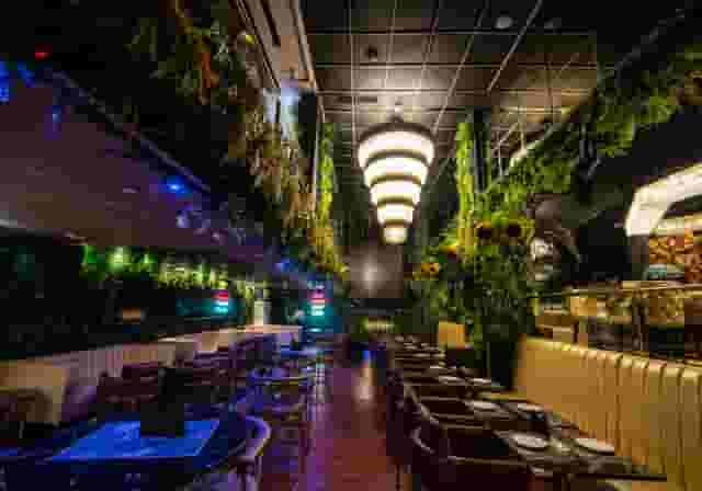 The Terrace - Glow Lounge