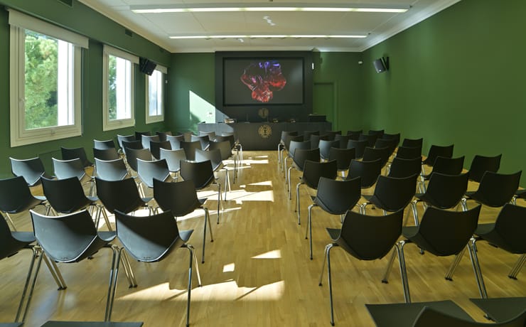 Modern theater-style conference hall with green walls for professional corporate event hosting.