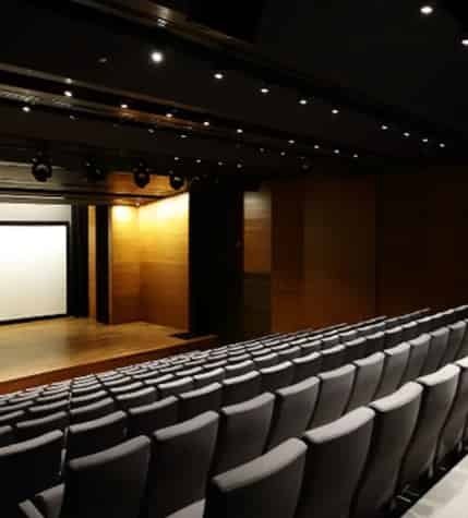 The Ngee Ann Kongsi Auditorium 