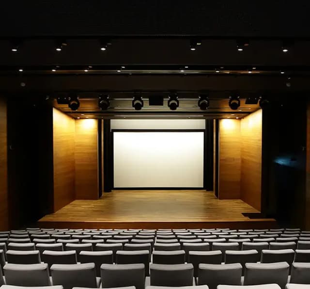 The Ngee Ann Kongsi Auditorium 
