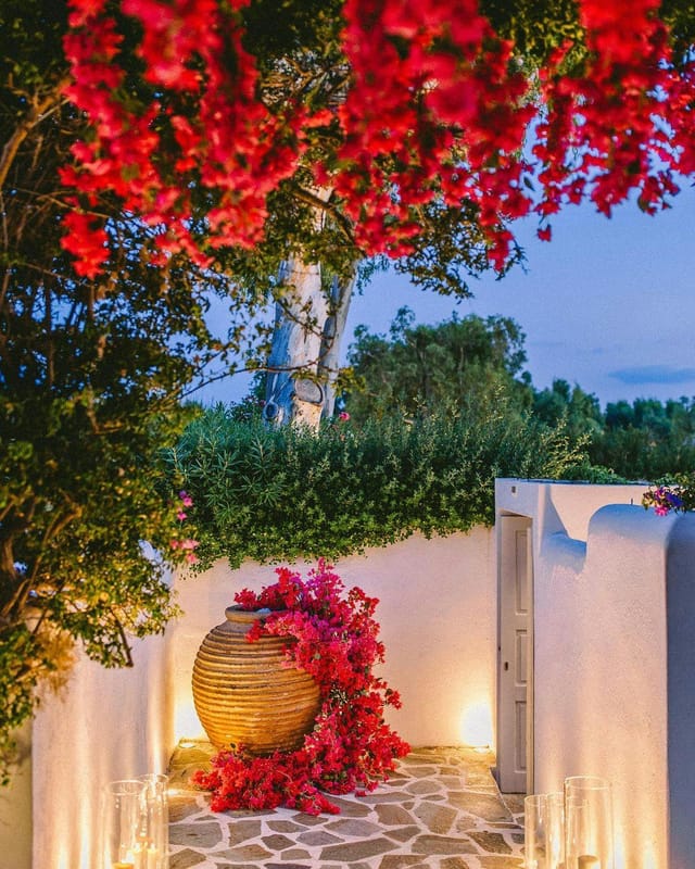 Island Art & Taste - >Island Resort Athens Riviera</a>