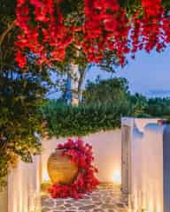 Summer Party Venues