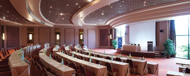 DA 45 theater-style conference room with coffered ceiling for corporate events and seminars.