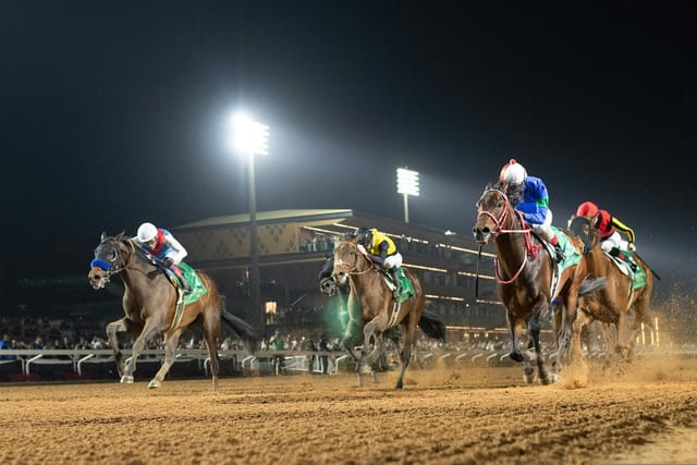 King Abdulaziz Racecourse - >The Saudi Cup</a>