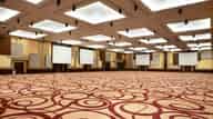 Party Venues