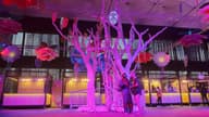 Sustainable Conferences