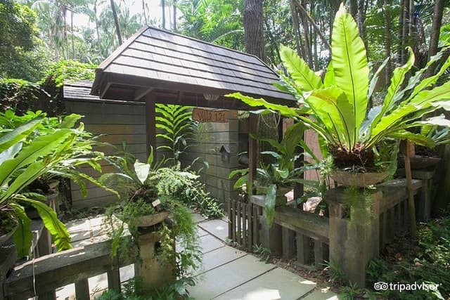 Outdoor Areas