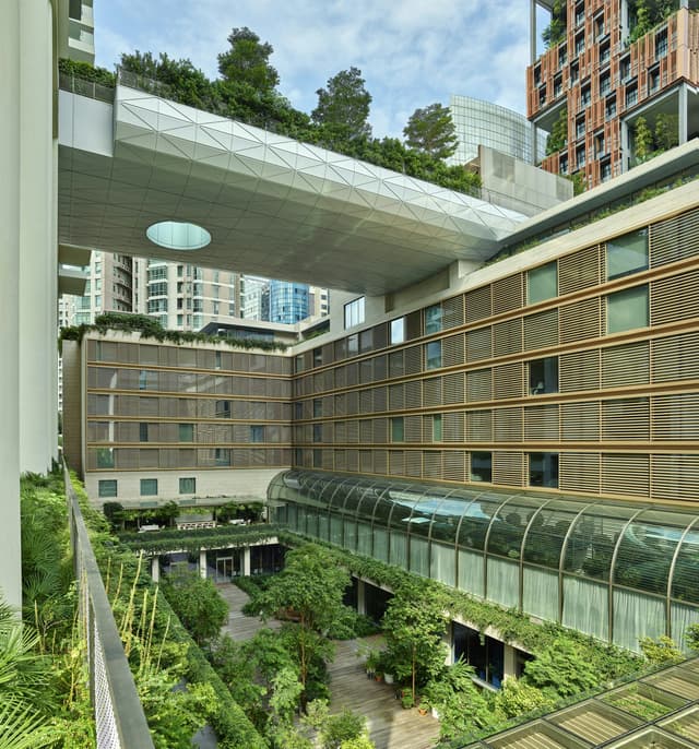 Singapore EDITION