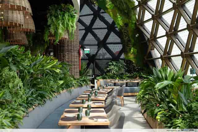 Biophilic dining space at Dusit Gourmet, ideal for sophisticated corporate dinners and networking.