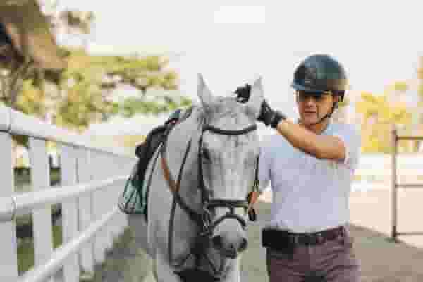 Equestrian arena