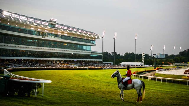 Equestrian arena