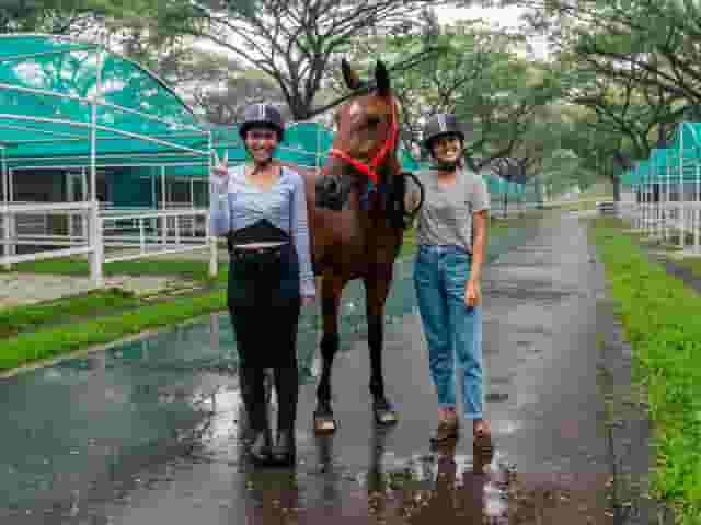 Equestrian arena