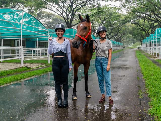 Singapore Turf Club Riding Centre