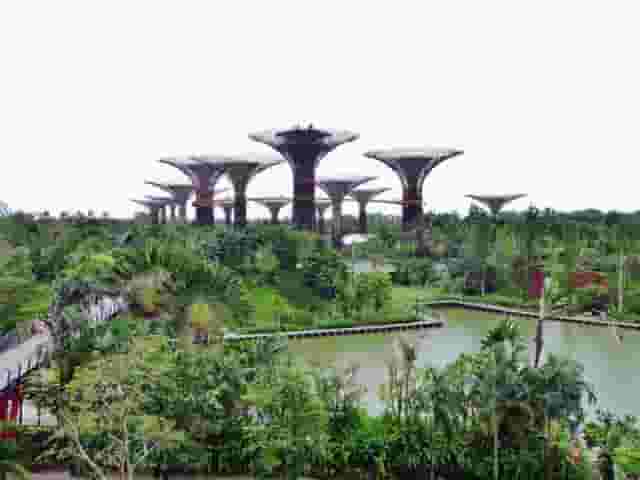 Garden Walk 3