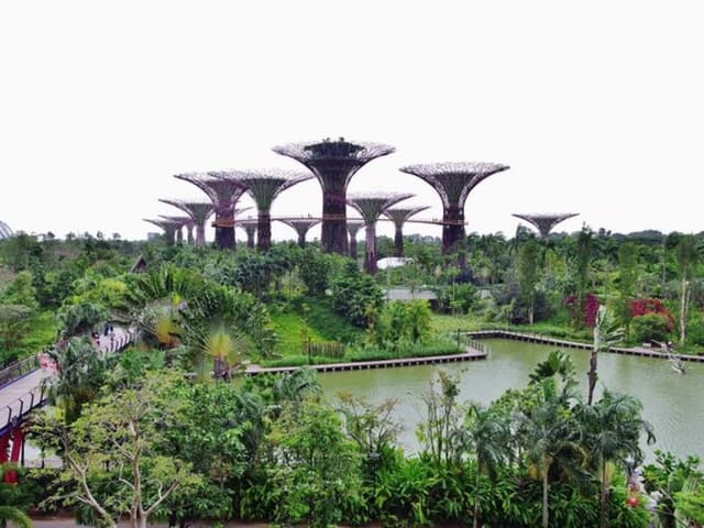 Garden Walk