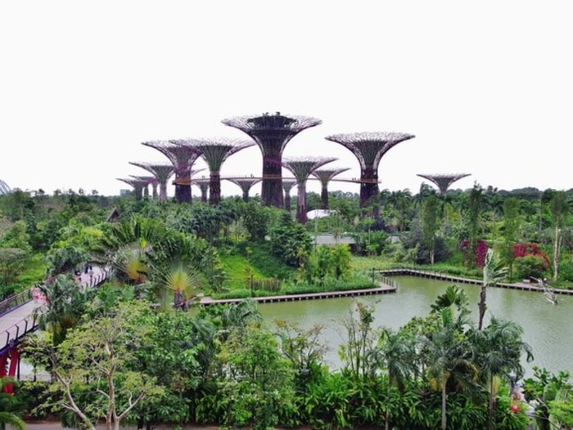 A walk around the Gardens by the Bay