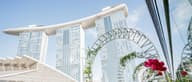 Networking Venues