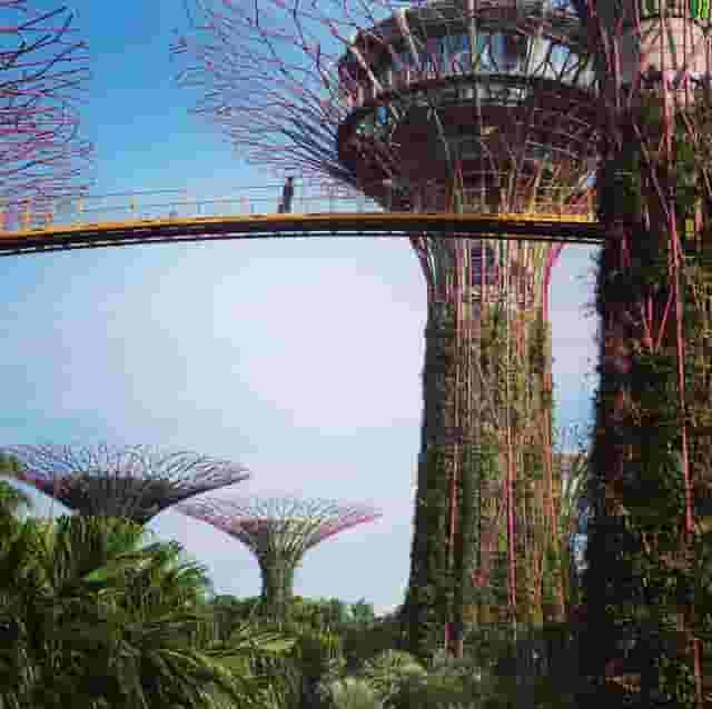Garden Walk 3