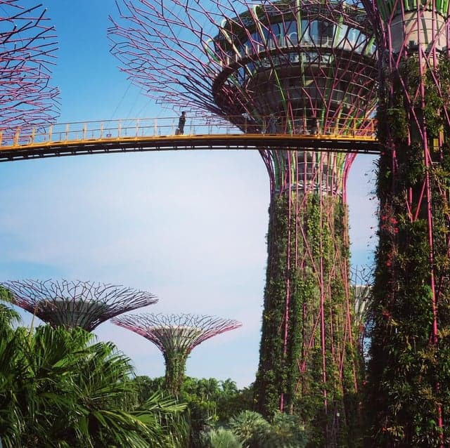 Garden Walk