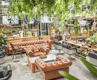 Christmas Party Venues