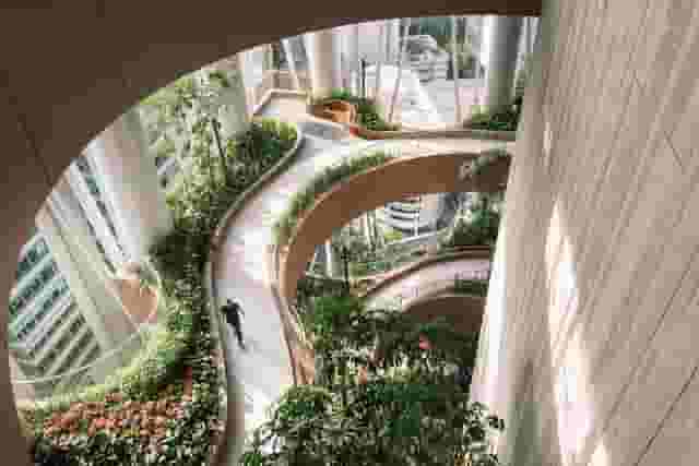 Green Oasis