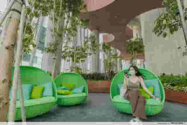 Green Oasis
