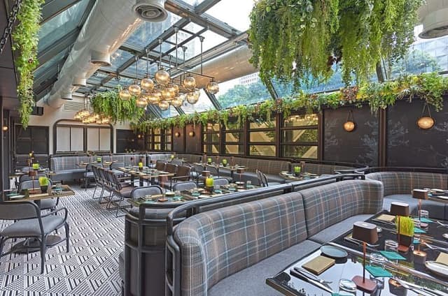 Cloud Terrace Lawn