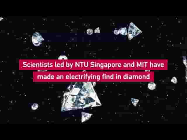 MIT Universe