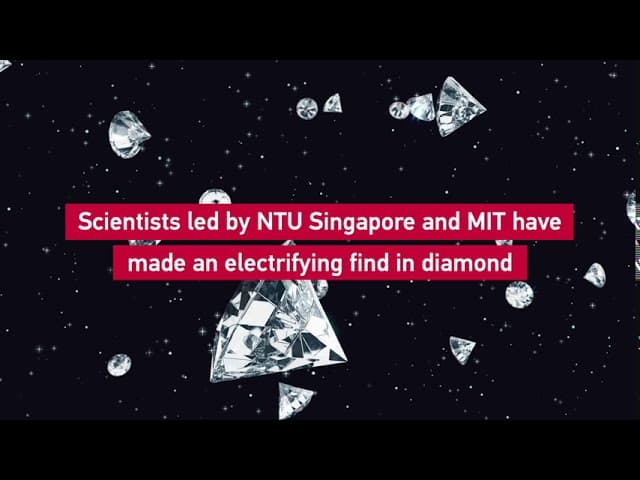 MIT Universe