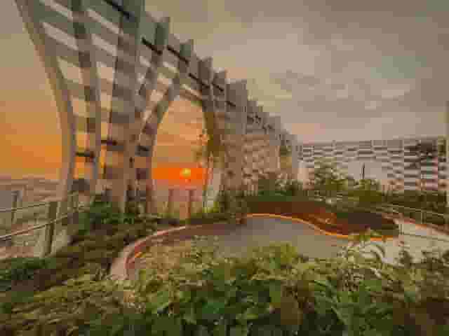 1-Arden Food Forest
