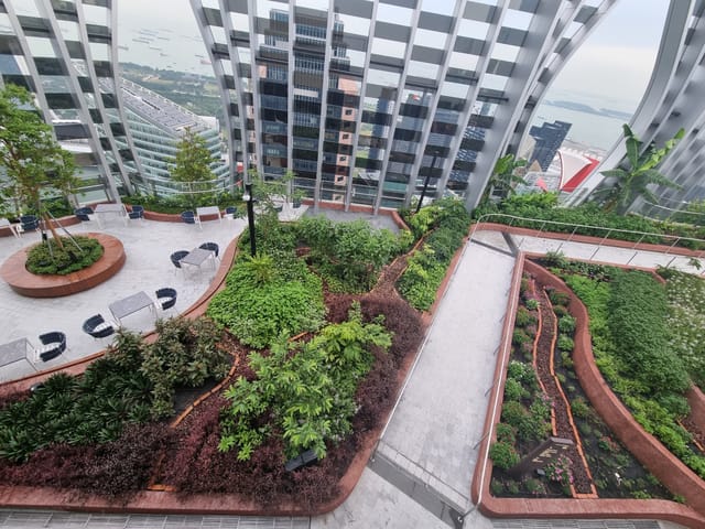 food forest at all new 1-Arden