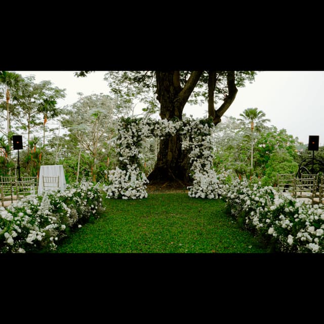 Capella Lawn