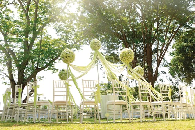 Capella Lawn