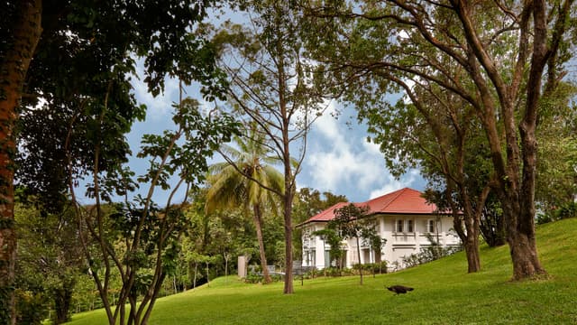 Capella Lawn