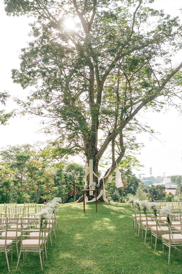 Capella Lawn