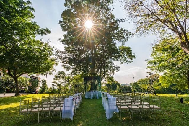 Capella Lawn