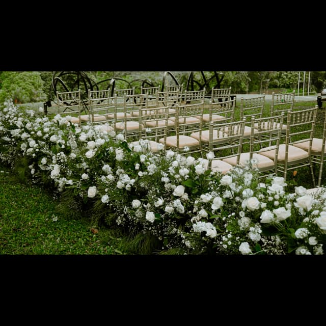 Capella Lawn