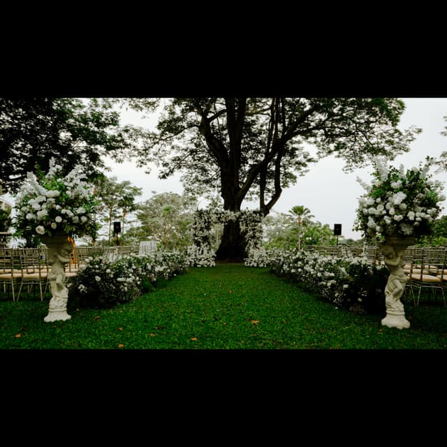 Capella Lawn