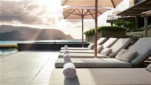 Koa