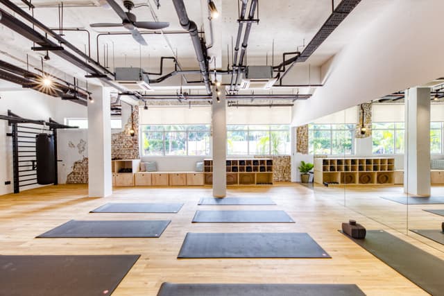 Wellness Frequent Flyer Plus