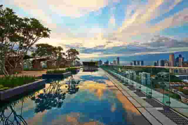 Rooftop Infinity Pool
