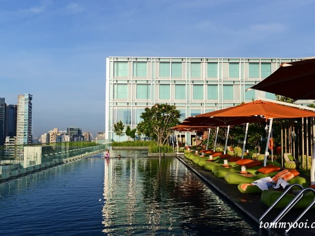 Rooftop Infinity Pool