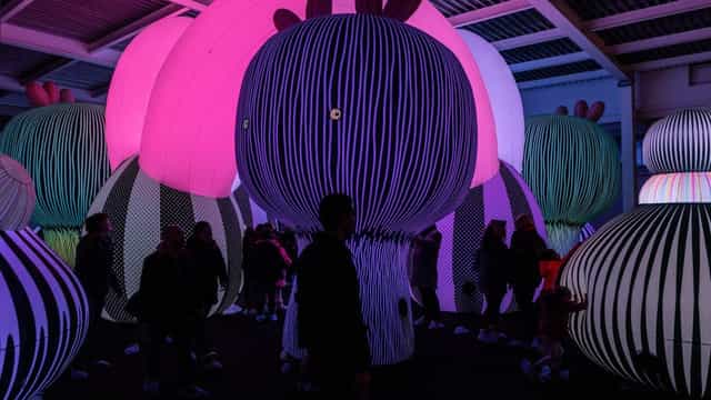 Immersive experiential installation at Pier 36 NYC with dramatic lighting for brand activations.
