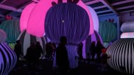 Christmas Party Venues