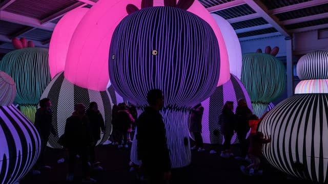 Entire Space
