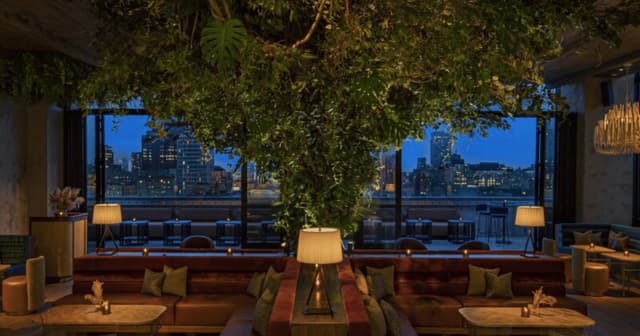 Rooftop garden